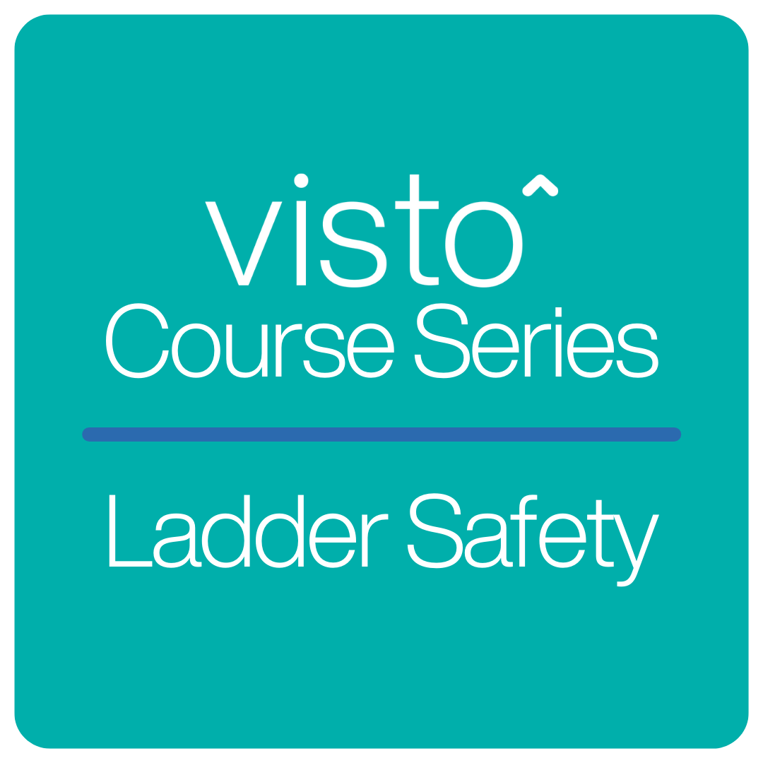 Ladder Safety Series Visto