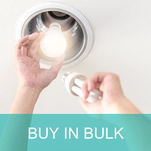 Principles of Energy Efficiency for Maintenance (Bulk)